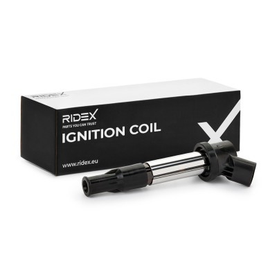 Ignition Coil RIDEX 689C0084 689C0084 - photo 2