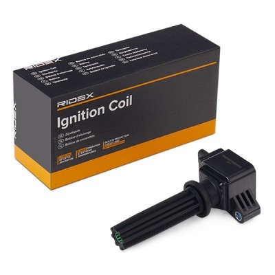 Ignition Coil RIDEX 689C0419 689C0419 - photo 2