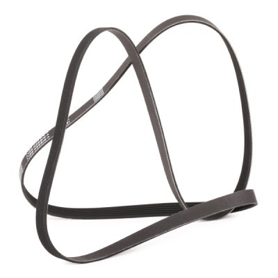 V-Ribbed Belt RIDEX 305P0178P 305P0178P - photo 3