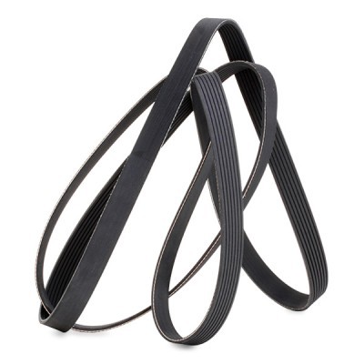 V-Ribbed Belt RIDEX 305P0378 305P0378 - photo 3
