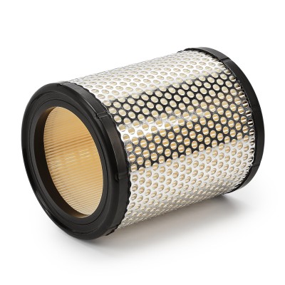 Air Filter RIDEX 8A0106 8A0106 - photo 8