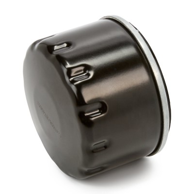Oil Filter RIDEX 7O0043P 7O0043P - photo 14