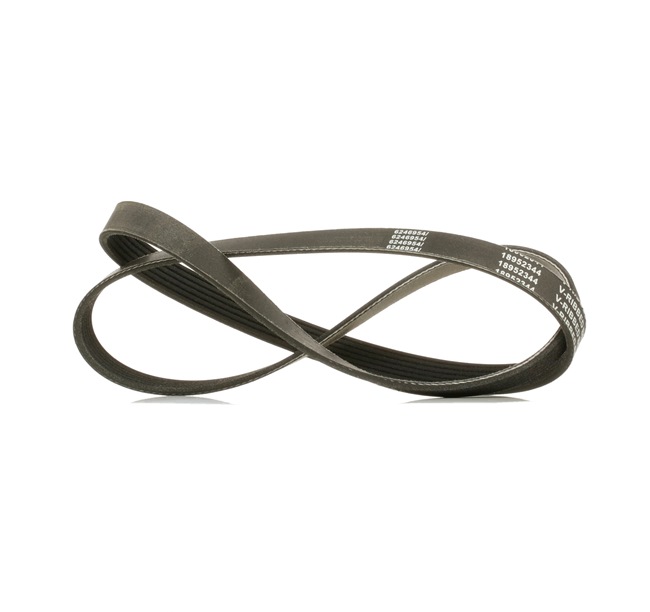 V-Ribbed Belt RIDEX 305P0170P 305P0170P - photo 1