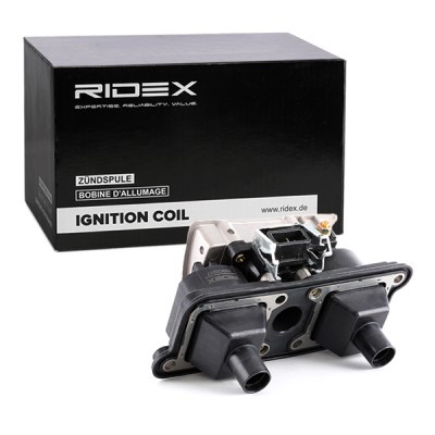 Ignition Coil RIDEX 689C0217 689C0217 - photo 3
