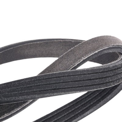 V-Ribbed Belt RIDEX 305P0020P 305P0020P - photo 5
