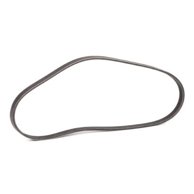 V-Ribbed Belt RIDEX 305P0553P 305P0553P - photo 3