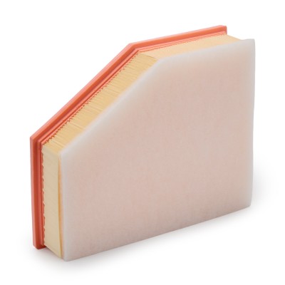 Air Filter RIDEX 8A0874 8A0874 - photo 9
