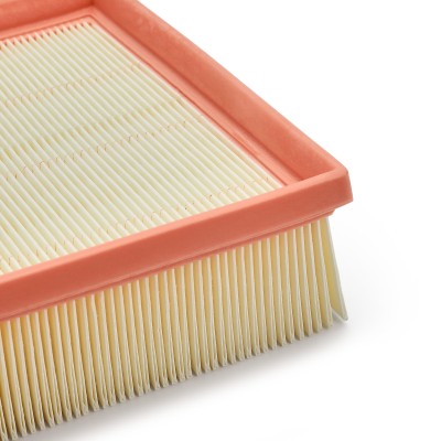 Air Filter RIDEX 8A0055 8A0055 - photo 10