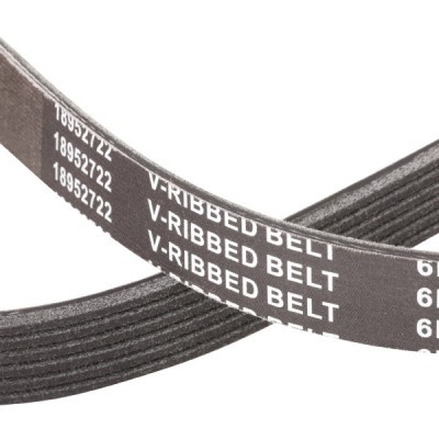 V-Ribbed Belt RIDEX 305P0067P 305P0067P - photo 5