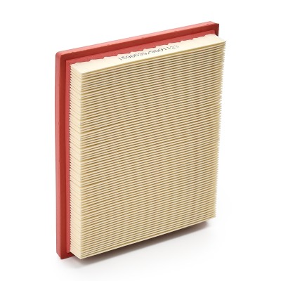 Air Filter RIDEX 8A0269 8A0269 - photo 9