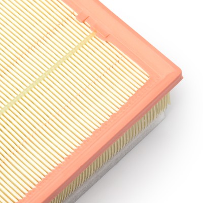 Air Filter RIDEX 8A0251 8A0251 - photo 10