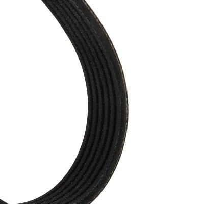 V-Ribbed Belt RIDEX 305P0391P 305P0391P - photo 4