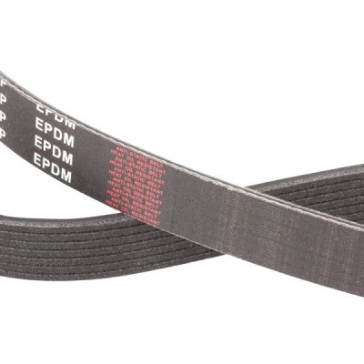 V-Ribbed Belt RIDEX 305P0492P 305P0492P - photo 5