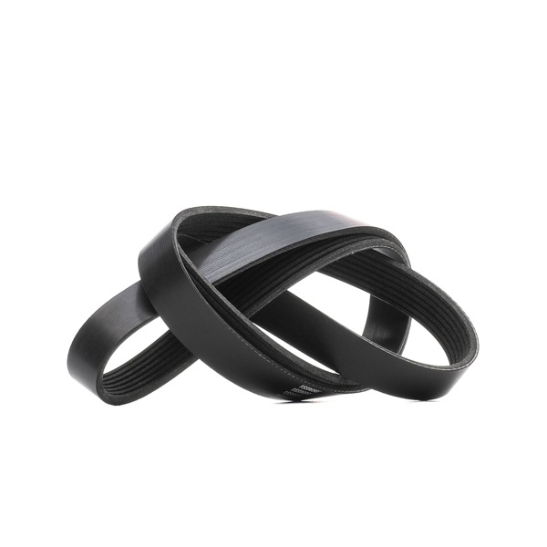 V-Ribbed Belt RIDEX 305P0431 305P0431 - photo 1