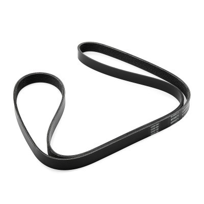 V-Ribbed Belt RIDEX 305P0338 305P0338 - photo 3