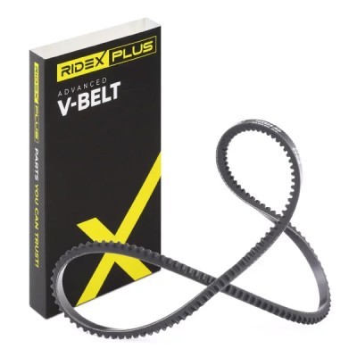 V-Belt RIDEX 10C0025P 10C0025P - photo 2