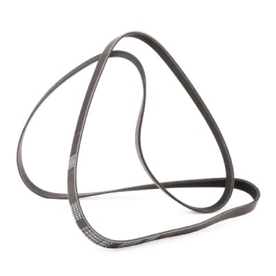 V-Ribbed Belt RIDEX 305P0119P 305P0119P - photo 3