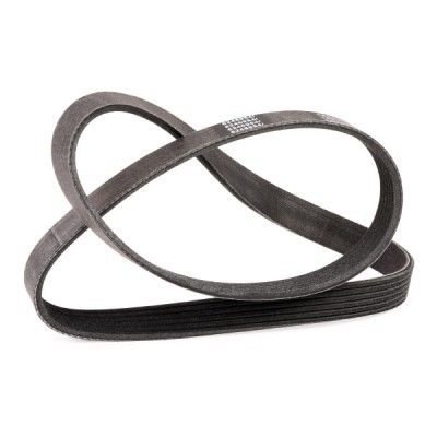 V-Ribbed Belt RIDEX 305P0058P 305P0058P - photo 3