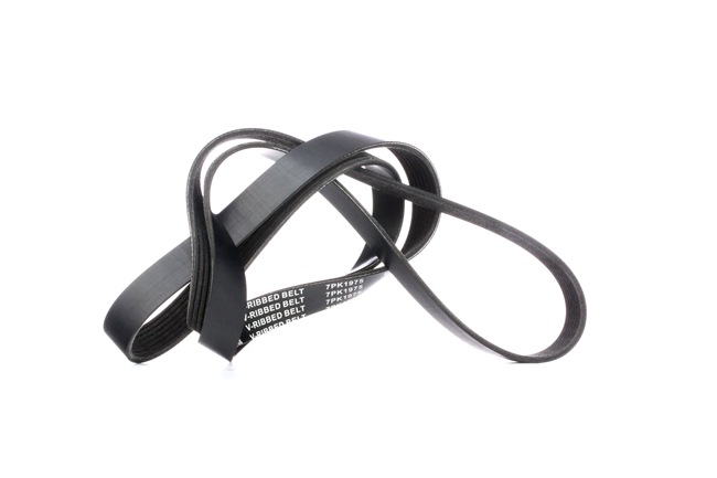 V-Ribbed Belt RIDEX 305P0327 305P0327 - photo 1