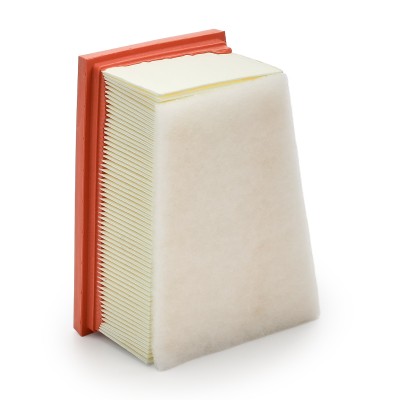 Air Filter RIDEX 8A0080 8A0080 - photo 9