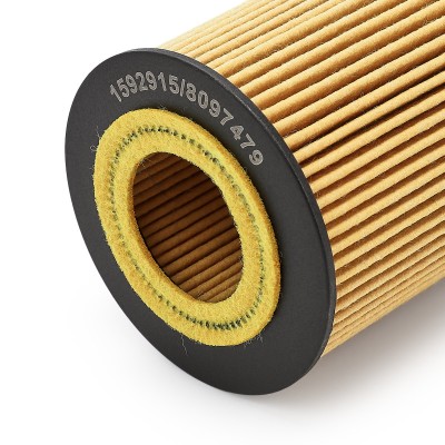 Oil Filter RIDEX 7O0049 7O0049 - photo 11