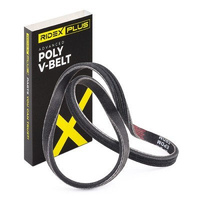 V-Ribbed Belt RIDEX 305P0005P 305P0005P - photo 2