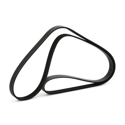 V-Ribbed Belt RIDEX 305P0169P 305P0169P - photo 4