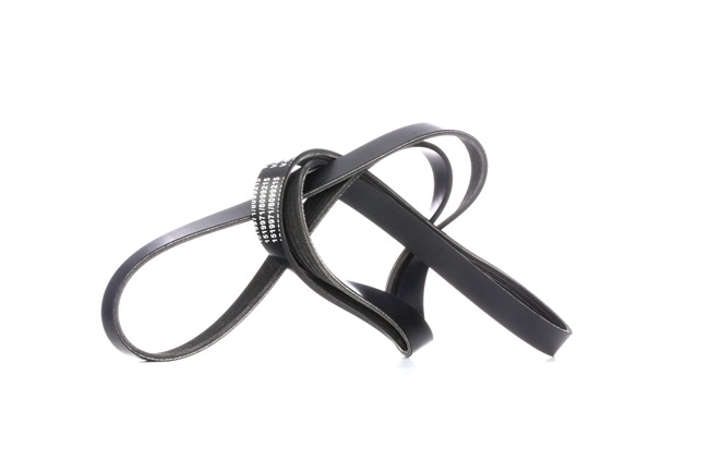 V-Ribbed Belt RIDEX 305P0379 305P0379 - photo 1