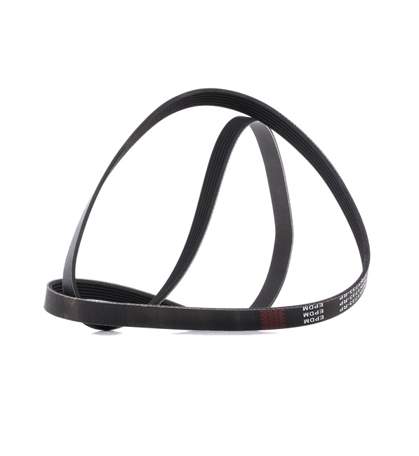 V-Ribbed Belt RIDEX 305P0121P 305P0121P - photo 1