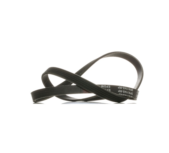 V-Ribbed Belt RIDEX 305P0111P 305P0111P - photo 1