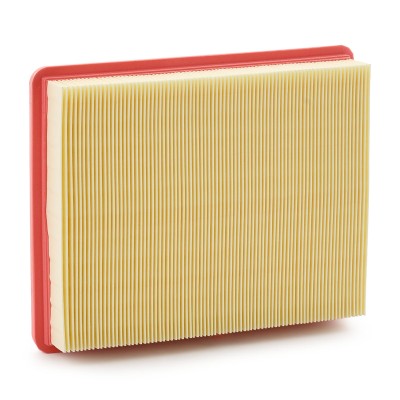 Air Filter RIDEX 8A0234 8A0234 - photo 7