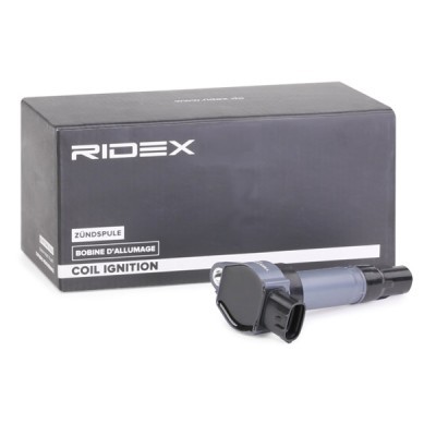 Ignition Coil RIDEX 689C0301 689C0301 - photo 2