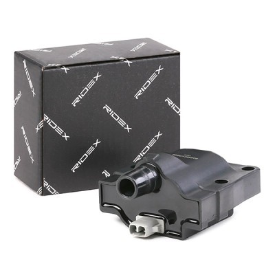 Ignition Coil RIDEX 689C0100 689C0100 - photo 3