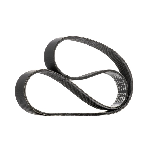 V-Ribbed Belt RIDEX 305P0655 305P0655 - photo 1