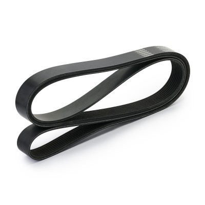 V-Ribbed Belt RIDEX 305P0497 305P0497 - photo 3
