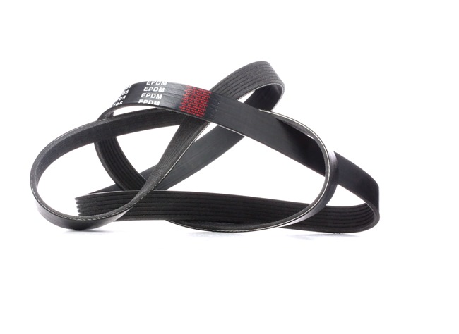 V-Ribbed Belt RIDEX 305P0323 305P0323 - photo 1