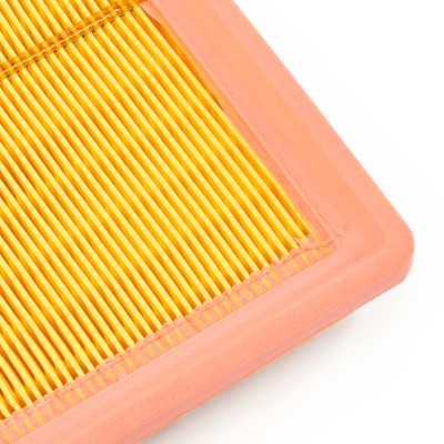 Air Filter RIDEX 8A0739 8A0739 - photo 10