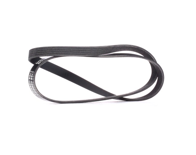 V-Ribbed Belt RIDEX 305P0417 305P0417 - photo 1