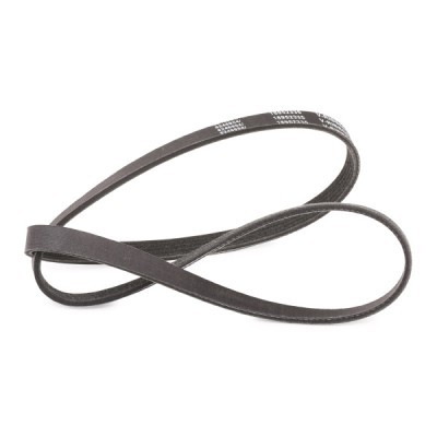V-Ribbed Belt RIDEX 305P0156P 305P0156P - photo 3
