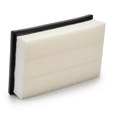 Air Filter RIDEX 8A0046 8A0046 - photo 9