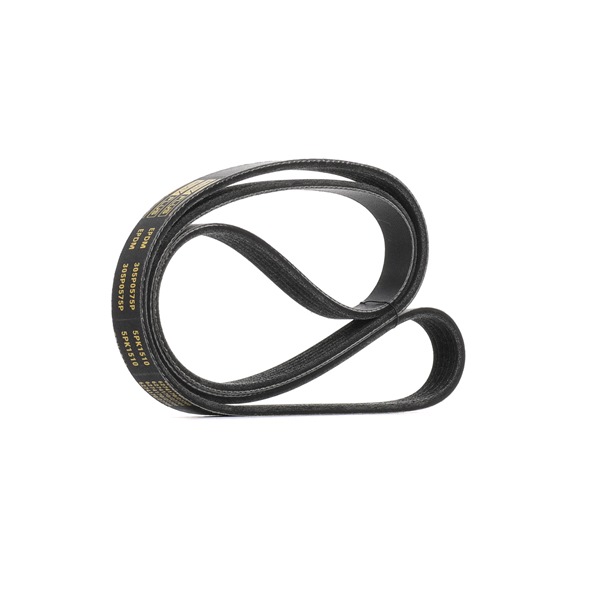 V-Ribbed Belt RIDEX 305P0575P 305P0575P - photo 1