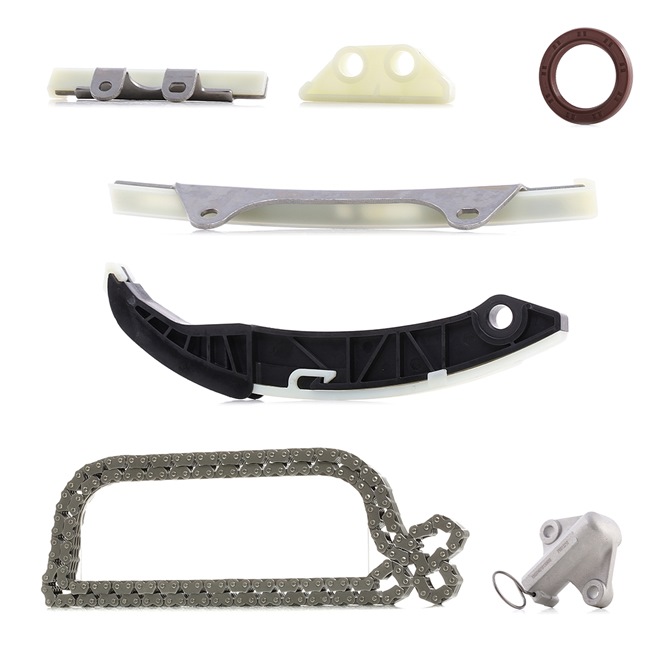 Timing chain kit RIDEX 1389T2489 1389T2489 - photo 1