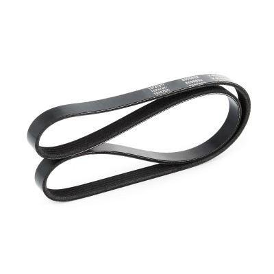 V-Ribbed Belt RIDEX 305P0036 305P0036 - photo 4