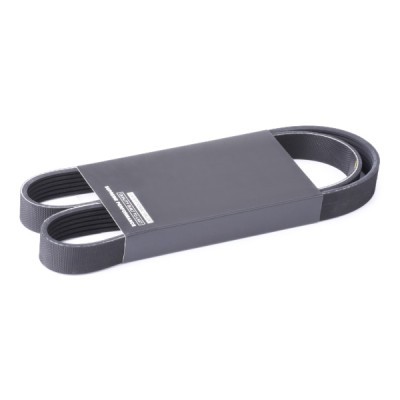 V-Ribbed Belt RIDEX 305P0404 305P0404 - photo 2