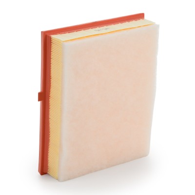 Air Filter RIDEX 8A0661 8A0661 - photo 9
