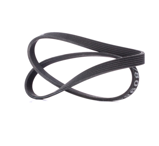 V-Ribbed Belt RIDEX 305P0063 305P0063 - photo 1