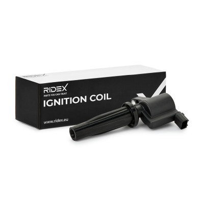 Ignition Coil RIDEX 689C0034 689C0034 - photo 2