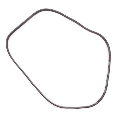 V-Ribbed Belt RIDEX 305P0160P 305P0160P - photo 4