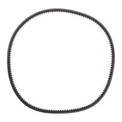 V-Belt RIDEX 10C0073P 10C0073P - photo 4