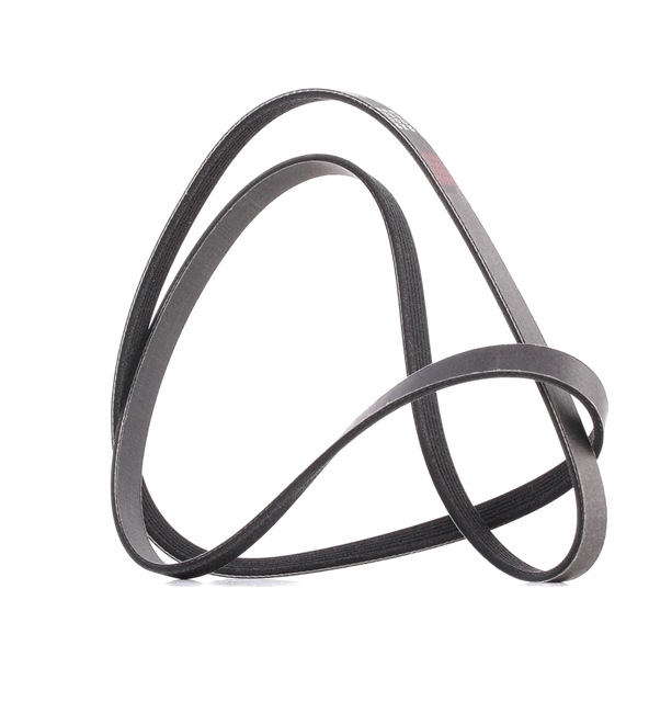 V-Ribbed Belt RIDEX 305P0115P 305P0115P - photo 1